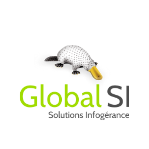 Global SI