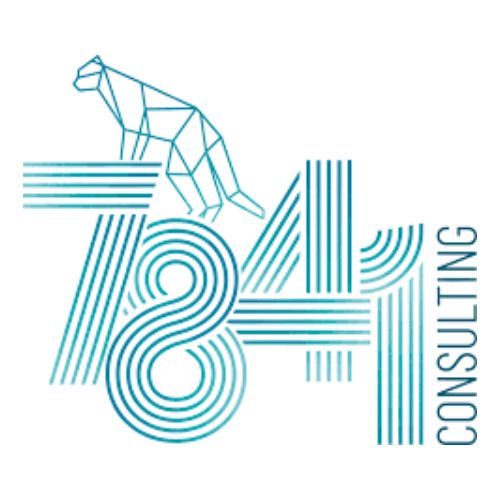 7841 CONSULTING