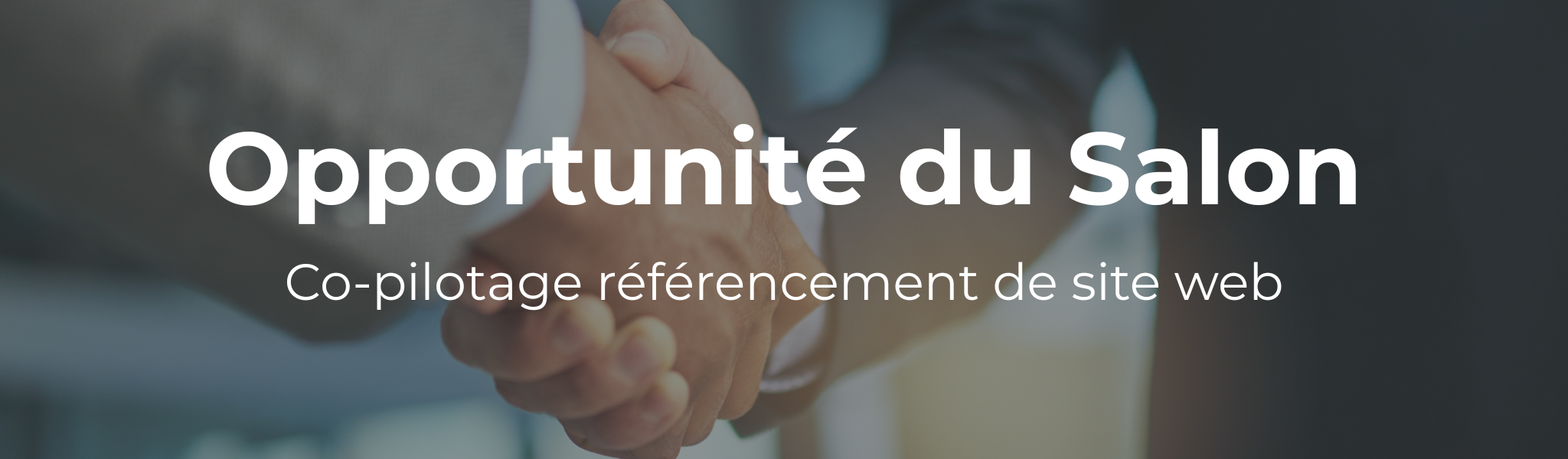 Offre INKY SEO