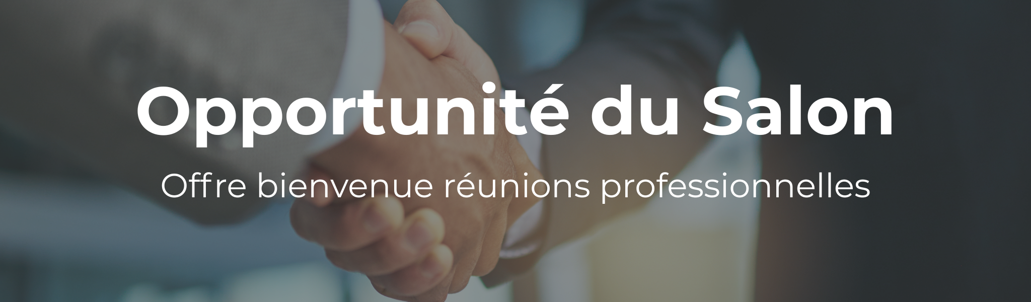 Offre Ibis Vienne
